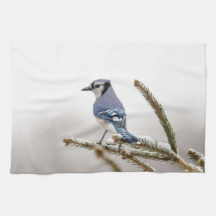 Blue Jay in Winter Tea Towel