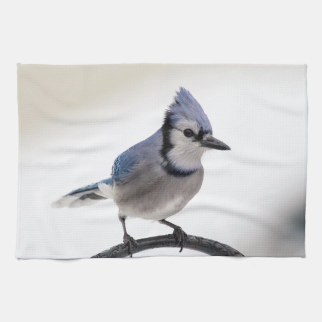 Blue Jay in Winter Tea Towel (Horizontal)