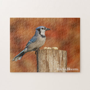 Blue Jay Jigsaw Puzzle