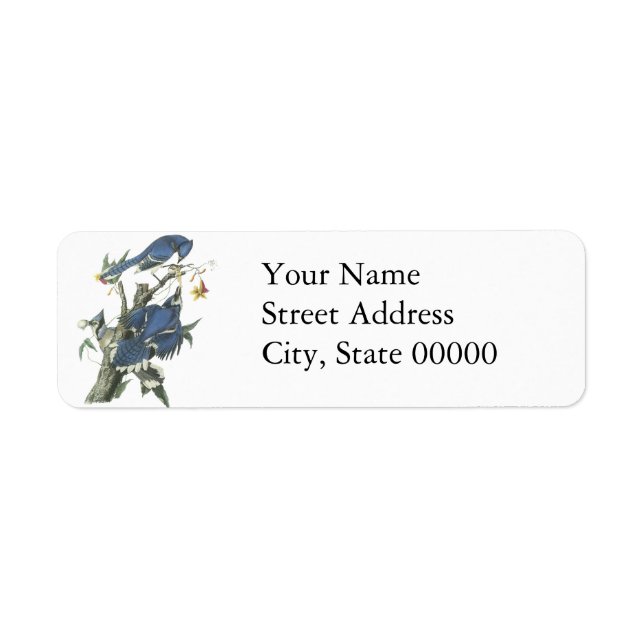 Blue Jay, John Audubon Return Address Label (Front)