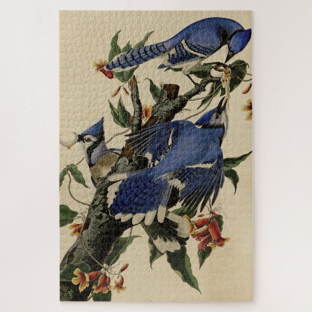 Blue Jay - John James Audubon's Birds of America Jigsaw Puzzle (Vertical)