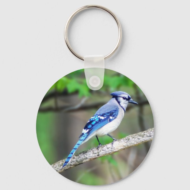 Blue Jay Keychain (Front)