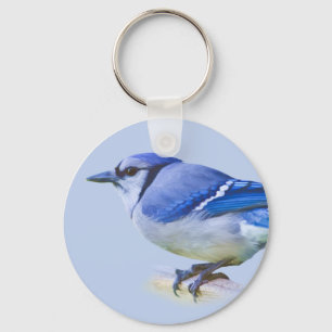 blue Jay Keychain