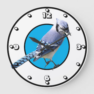 Blue Jay Large Clock