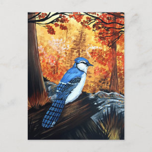 Blue Jay Life Postcard