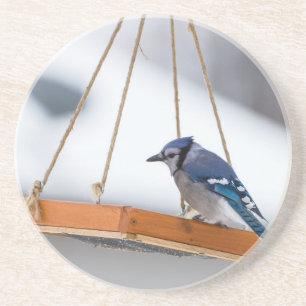 Blue Jay Lunch Coaster