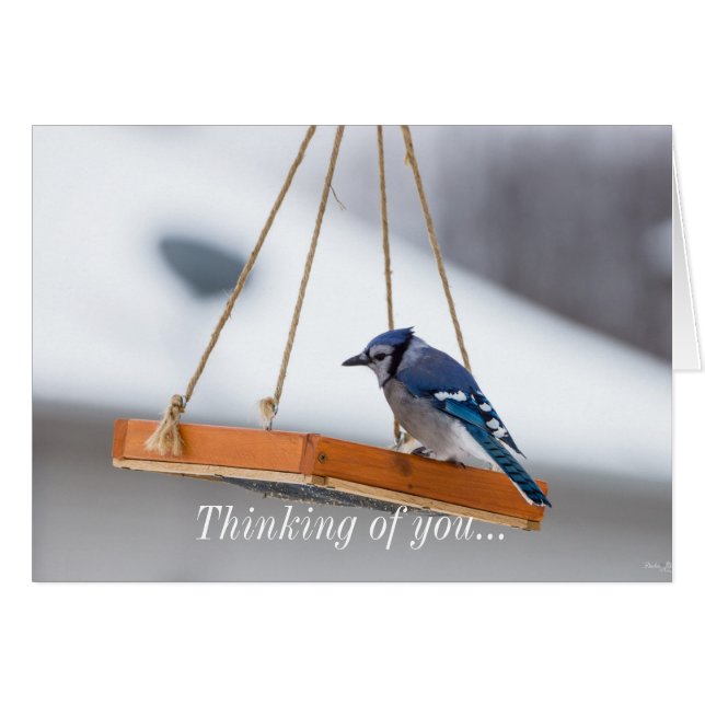 Blue Jay Lunch Thinking Of You Card (Front Horizontal)