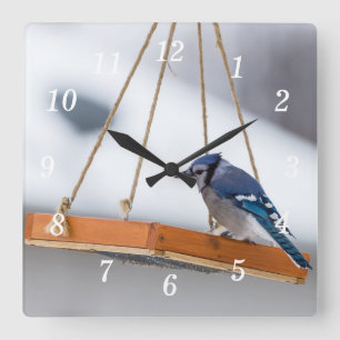 Blue Jay Lunch Wall Clock