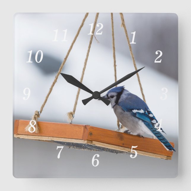 Blue Jay Lunch Wall Clock (Front)