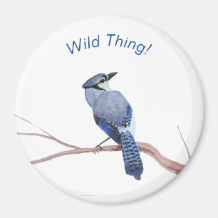 Blue Jay Magnet