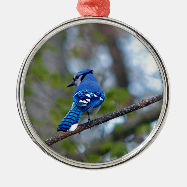 Blue Jay Metal Ornament (Front)