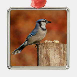 Blue Jay Metal Tree Decoration