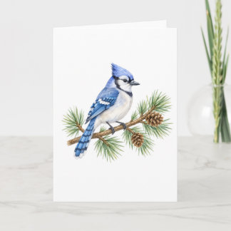 Blue Jay on a Pine Branch Card