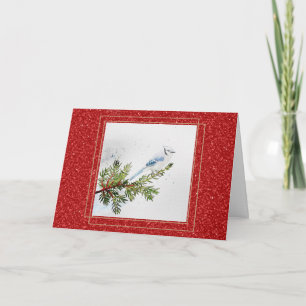 Blue Jay on a Pine Branch Christmas Card
