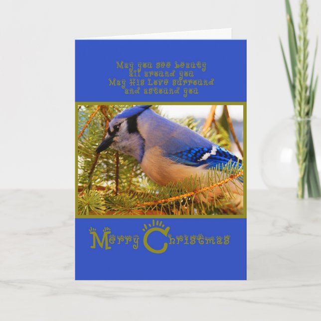 Blue Jay on Cedar Feeder w Fir Closeup Holiday Card (Front)