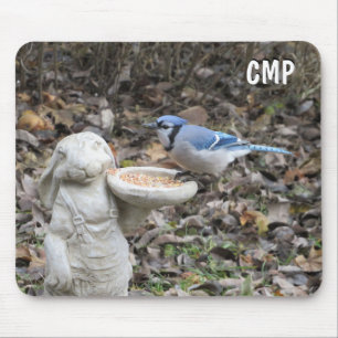 Blue Jay on Cute Rabbit Bird Feeder Mouse Pad