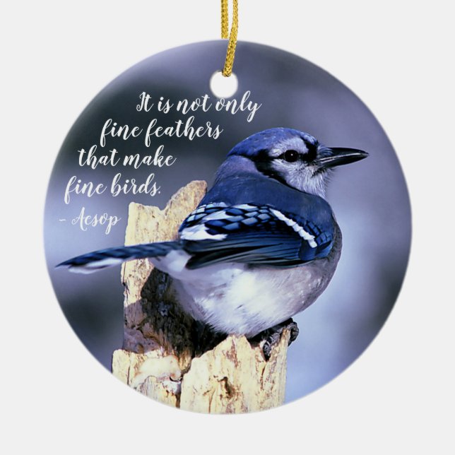 Blue Jay on Post Wildlife Photograph Nature Ceramic Ornament (Front)