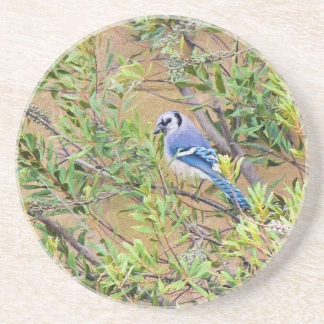 Blue Jay on Southern Wax Myrtle Coaster (Front)