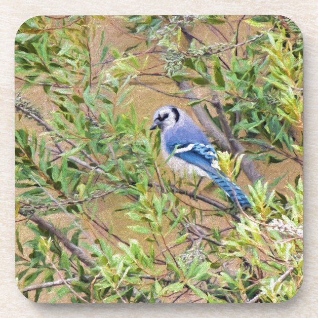 Blue Jay on Wax Myrtle Coaster (Front)