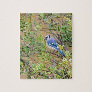 Blue Jay on Wax Myrtle Jigsaw Puzzle