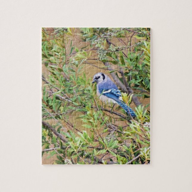Blue Jay on Wax Myrtle Jigsaw Puzzle (Vertical)