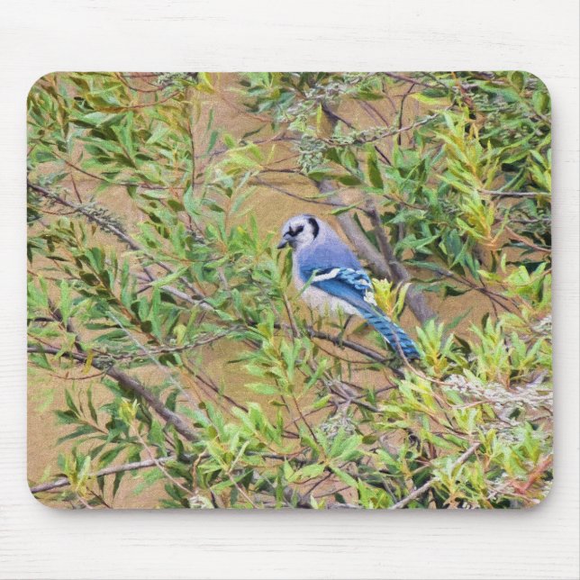 Blue Jay on Wax Myrtle Mouse Pad (Front)