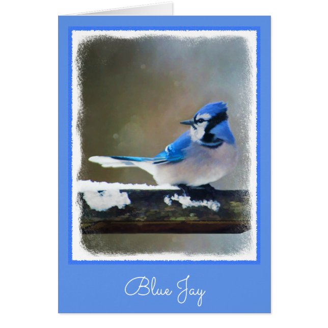 Blue Jay Painting - Original Bird Art (Front)