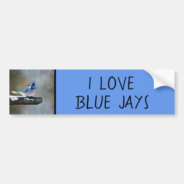 Blue Jay Painting - Original Bird Art Bumper Sticker (Front)