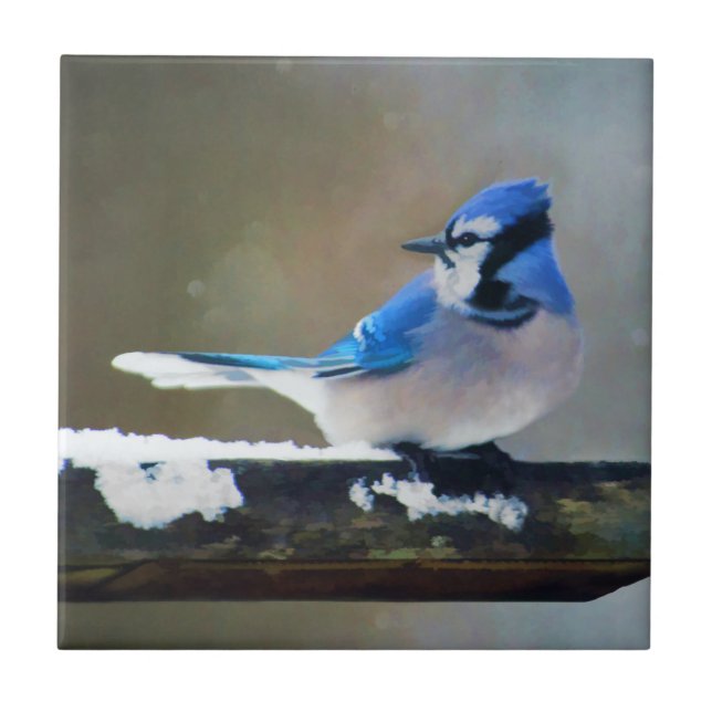 Blue Jay Painting - Original Bird Art Ceramic Tile (Front)