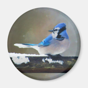 Blue Jay Painting - Original Bird Art Magnet