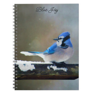 Blue Jay Painting - Original Bird Art Notebook