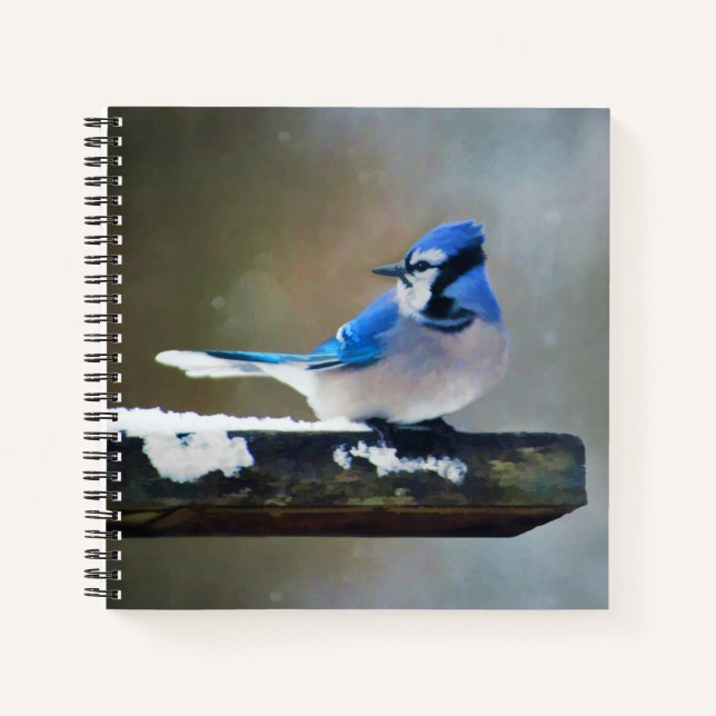 Blue Jay Painting - Original Bird Art Notebook (Front)
