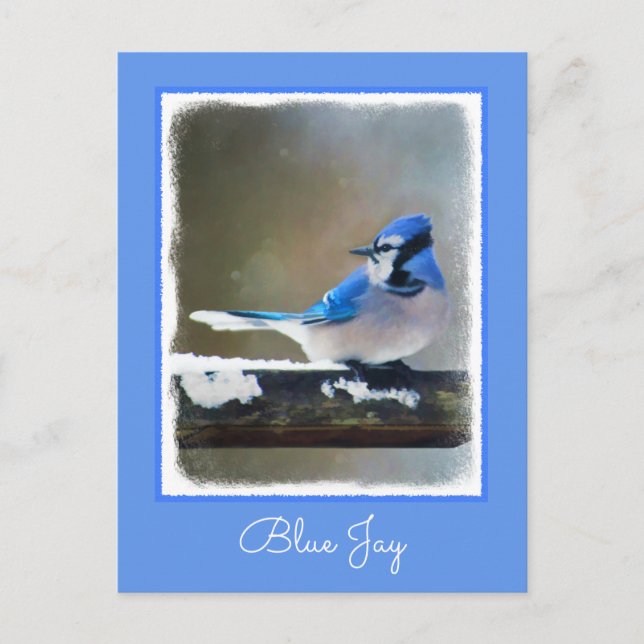 Blue Jay Painting - Original Bird Art Postcard (Front)