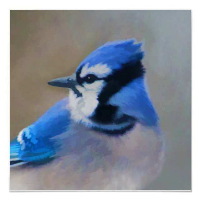 Blue Jay Painting - Original Bird Art Poster (Front)