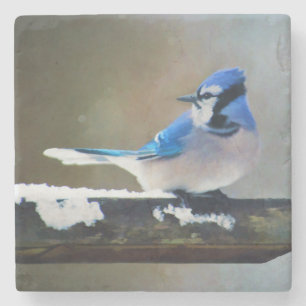 Blue Jay Painting - Original Bird Art Stone Coaster