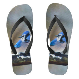 Blue Jay Painting - Original Bird Art Thongs