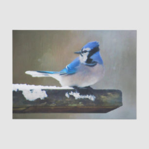 Blue Jay Painting - Original Bird Art Tissue Paper