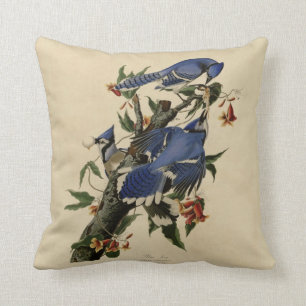 Blue Jay Painting Pillow