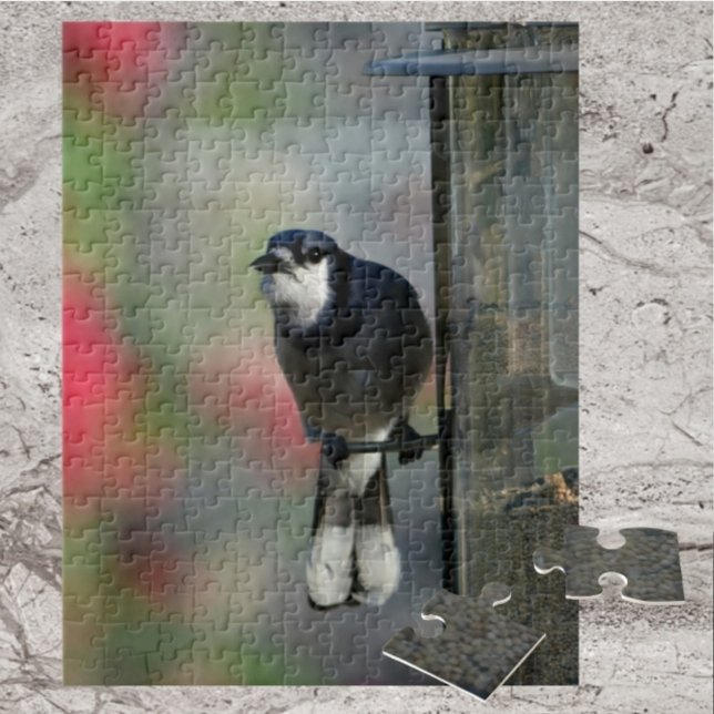 Blue Jay Perched on Feeder Photographic Bird Jigsaw Puzzle (Creator Uploaded)