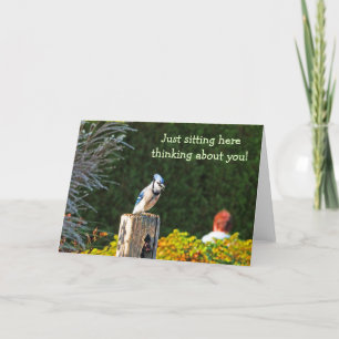 BLUE JAY PERCHED ON POST/"JUST SITTING HERE THINKI CARD
