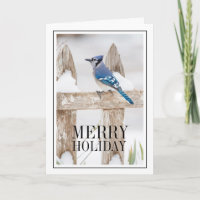 Blue Jay Perched on Snowy Fence
