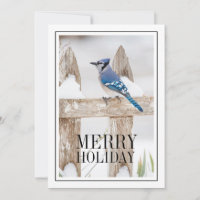 Blue Jay Perched on Snowy Fence