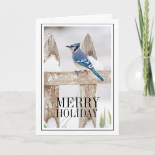 Blue Jay Perched on Snowy Fence Holiday Card