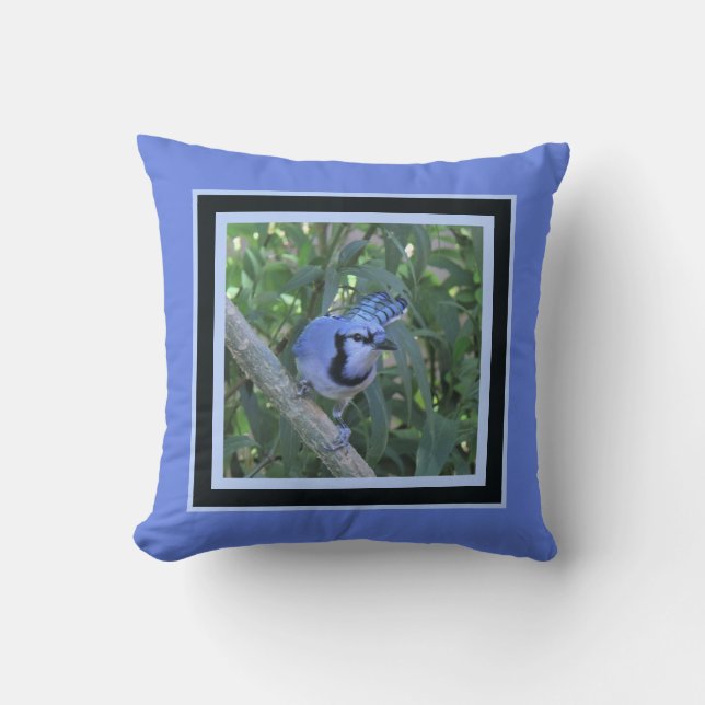 Blue Jay pillow, framed in dark & light blues Cushion (Front)