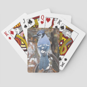 Blue Jay Playing Cards