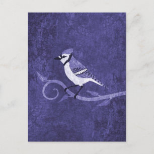Blue Jay Postcard