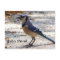 Blue Jay postcard