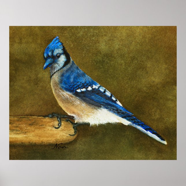 Blue Jay Print (Front)