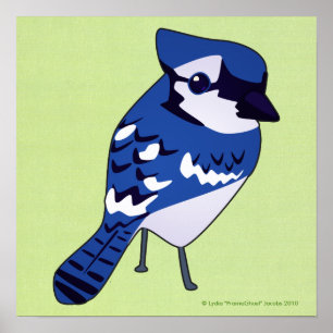 Blue Jay Print