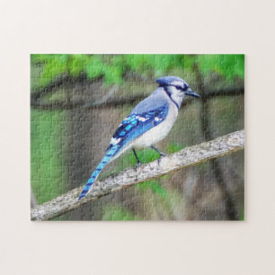 Blue Jay Puzzle